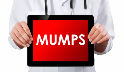 חזרת - תמונת המחשה